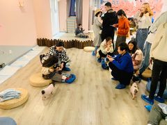 -浣熊柯尔鸭土拨鼠·电玩咖