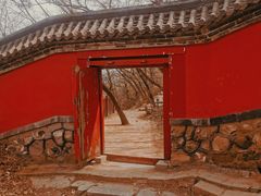 -阳台山自然风景区