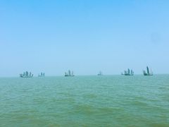 -长兴太湖图影湿地文化园