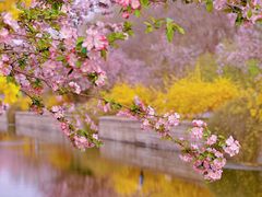 -元大都城垣遗址公园