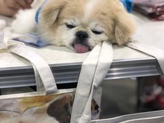 -香港会议展览中心演讲厅
