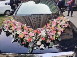 -蚂蚁婚车