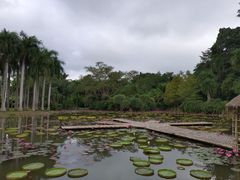 -中国科学院西双版纳热带植物园