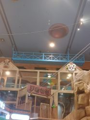 -卡通尼·Safari非洲探索乐园·生日会(金桥国际商业广场店)