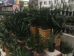 -秦美花卉(天朗·莱茵小城2期店)