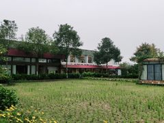 -洪湖家庭农场·团建·露营·会议