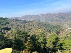 -大芦花风景区