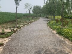 -西青郊野公园