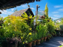-自然餐厅(Phuket)
