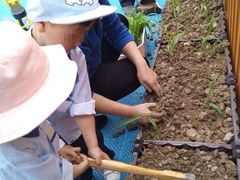 -上海市浦东新区恒宇幼儿园(杨南部)