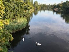 -海德公园