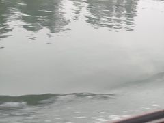 -白洋淀景区