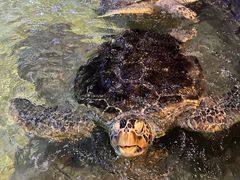 -威海华夏城景区