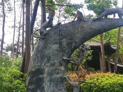 -千岛湖东南湖区