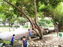 -成都市活水公园