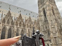 -斯蒂芬主教座堂(Stephansdom)