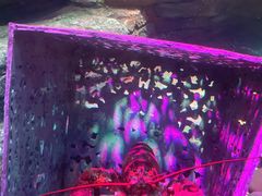 -沈阳海洋探索中心