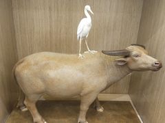 -淄博万象汇