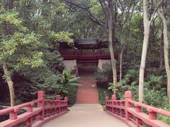 -紫霞湖公园