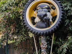 -西双版纳原始森林公园