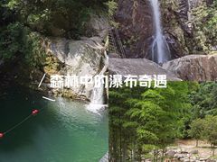 -安吉龙王山风景区