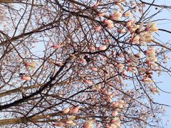 iphone_upload_pic-白马涧龙池景区