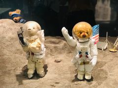 -济州岛泰迪熊博物馆