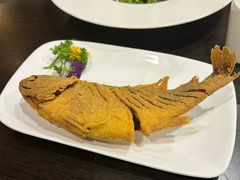 -老牌坊鲁菜名店(聊城美食岛店)