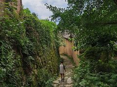 -杨家堂村