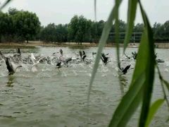 -泰安地下龙宫景区