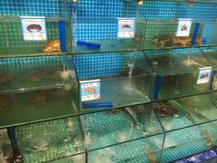 水产区-琼大师东方烤乳猪(亚特兰蒂斯店)