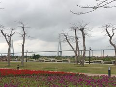 -芒洲湿地公园