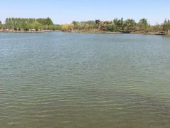 -东郊湿地公园