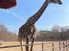 -济南野生动物世界