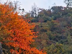 -硗碛藏寨·神木垒景区