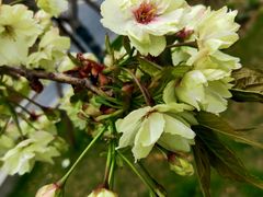 -新天地活力PARK