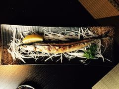 -春草居酒屋·晴子の店