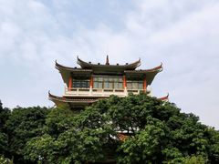 -荔枝公园(福田区)