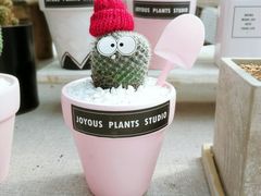 -三圣花乡旅游区