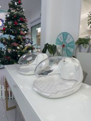 -斐尔国际皮肤管理中心