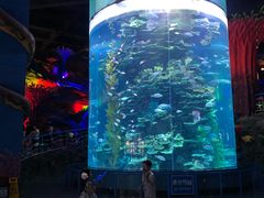 -泉城欧乐堡海洋极地世界