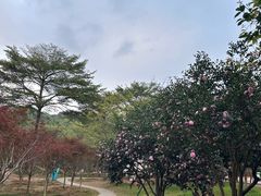 -广州市帽峰山景区