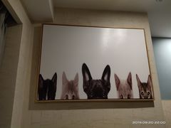 -臣嘉·原宿酒店(重庆新桥医院店)