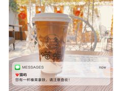 -喵屿·大理花园猫咖