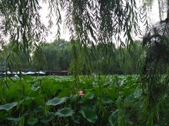 -潇湘甲鱼村(清河店)