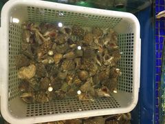 蓝港海鲜厨房(金水路店)-蓝港海鲜厨房(金水路店)