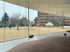 -金泽21世纪美术馆