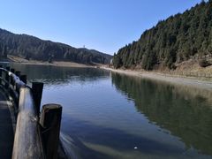 -武陵山森林公园