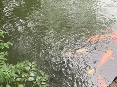 -乌镇东栅景区