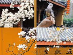 -杭州上天竺法喜讲寺